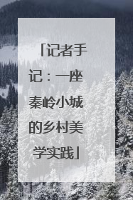 记者手记：一座秦岭小城的乡村美学实践