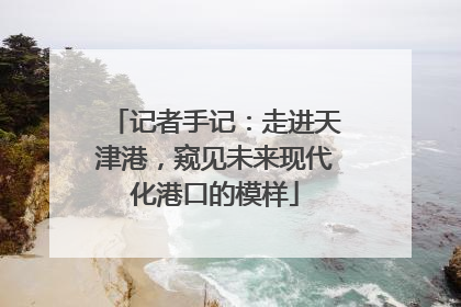 记者手记：走进天津港，窥见未来现代化港口的模样