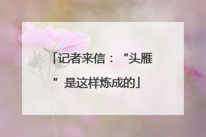 记者来信：“头雁”是这样炼成的