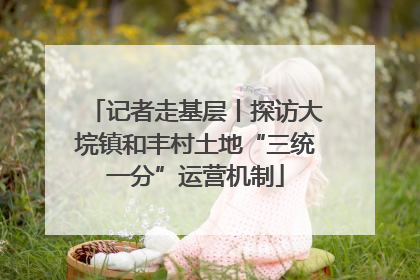 记者走基层丨探访大垸镇和丰村土地“三统一分”运营机制