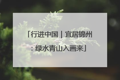 行进中国｜宜居锦州：绿水青山入画来