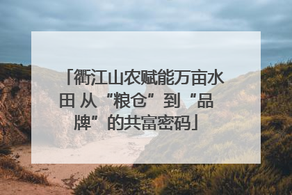 衢江山农赋能万亩水田 从“粮仓”到“品牌”的共富密码