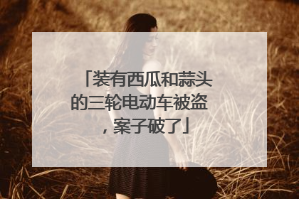 装有西瓜和蒜头的三轮电动车被盗，案子破了