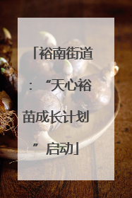 裕南街道：“天心裕苗成长计划”启动