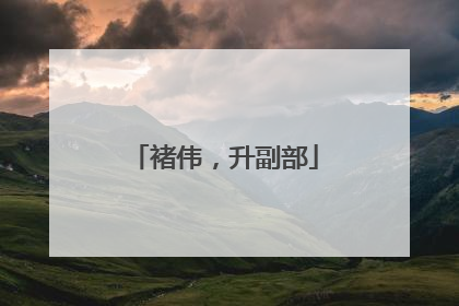 褚伟，升副部