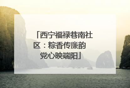 西宁福禄巷南社区：粽香传廉韵 党心映端阳