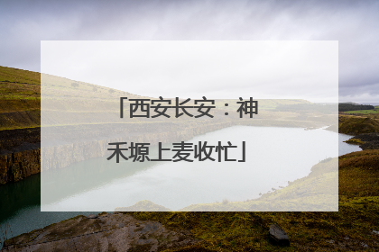 西安长安：神禾塬上麦收忙