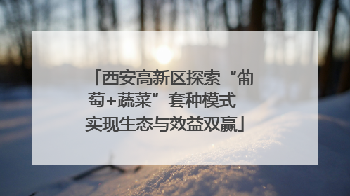西安高新区探索“葡萄+蔬菜”套种模式 实现生态与效益双赢