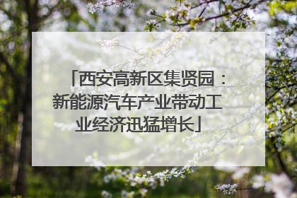 西安高新区集贤园：新能源汽车产业带动工业经济迅猛增长