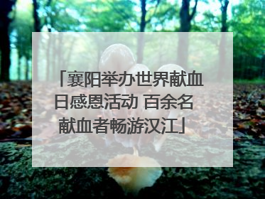 襄阳举办世界献血日感恩活动 百余名献血者畅游汉江
