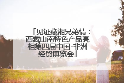 见证藏湘兄弟情：西藏山南特色产品亮相第四届中国-非洲经贸博览会