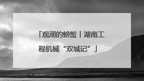 观潮的螃蟹丨湖南工程机械“双城记”