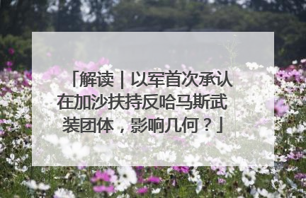 解读｜以军首次承认在加沙扶持反哈马斯武装团体，影响几何？