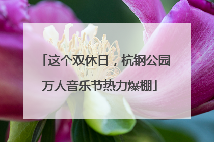这个双休日，杭钢公园万人音乐节热力爆棚