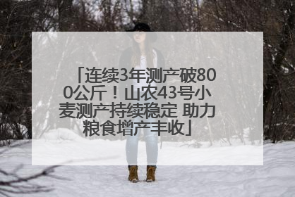 连续3年测产破800公斤！山农43号小麦测产持续稳定 助力粮食增产丰收