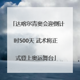 达喀尔青奥会迎倒计时500天 武术将正式登上奥运舞台