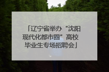 辽宁省举办“沈阳现代化都市圈”高校毕业生专场招聘会