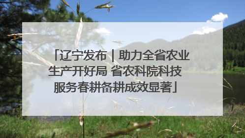辽宁发布｜助力全省农业生产开好局 省农科院科技服务春耕备耕成效显著
