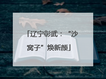辽宁彰武：“沙窝子”焕新颜