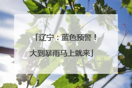 辽宁：蓝色预警！大到暴雨马上就来