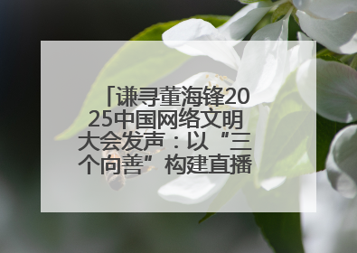 谦寻董海锋2025中国网络文明大会发声：以“三个向善”构建直播电商善意长河