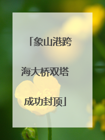 象山港跨海大桥双塔成功封顶