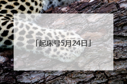 起床号5月24日