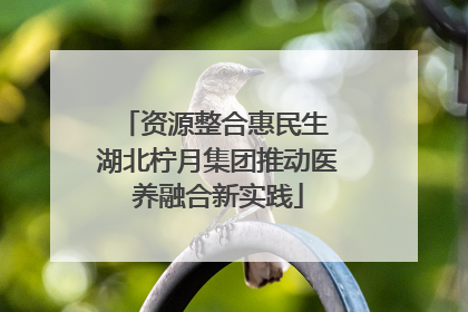 资源整合惠民生 湖北柠月集团推动医养融合新实践