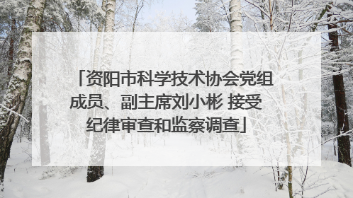 资阳市科学技术协会党组成员、副主席刘小彬 接受纪律审查和监察调查