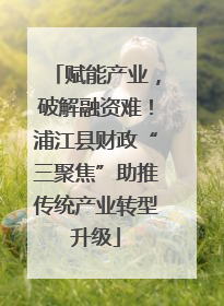 赋能产业，破解融资难！浦江县财政“三聚焦”助推传统产业转型升级