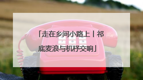 走在乡间小路上丨祁底麦浪与机杼交响