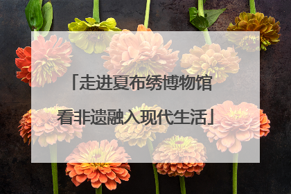 走进夏布绣博物馆 看非遗融入现代生活