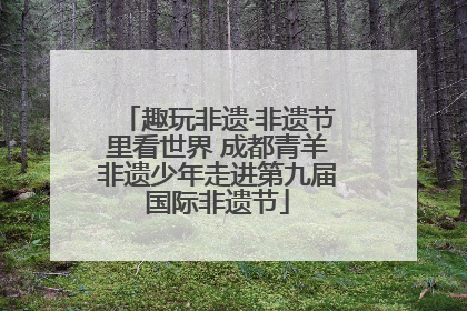 趣玩非遗·非遗节里看世界 成都青羊非遗少年走进第九届国际非遗节