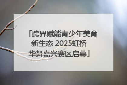 跨界赋能青少年美育新生态 2025虹桥华舞嘉兴赛区启幕