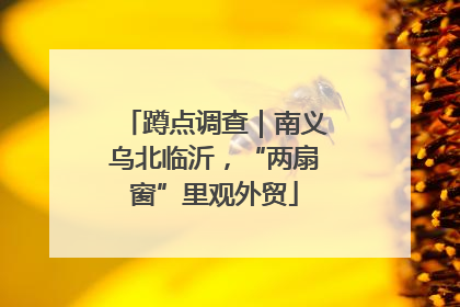 蹲点调查｜南义乌北临沂，“两扇窗”里观外贸