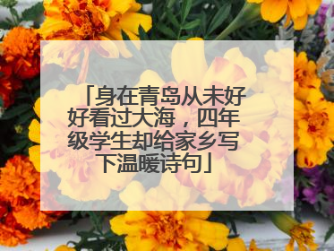 身在青岛从未好好看过大海，四年级学生却给家乡写下温暖诗句