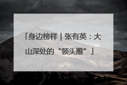 身边榜样｜张有英：大山深处的“领头雁”