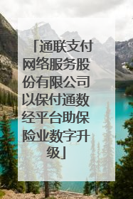 通联支付网络服务股份有限公司以保付通数经平台助保险业数字升级
