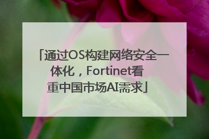 通过OS构建网络安全一体化，Fortinet看重中国市场AI需求