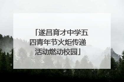 遂昌育才中学五四青年节火炬传递活动燃动校园