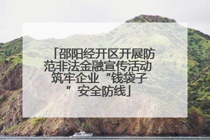邵阳经开区开展防范非法金融宣传活动 筑牢企业“钱袋子”安全防线