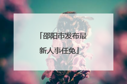 邵阳市发布最新人事任免