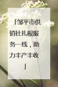 邹平市供销社扎根服务一线，助力丰产丰收