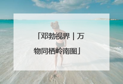 邓勃视界｜万物同栖岭南图