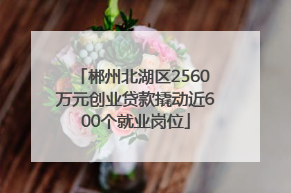 郴州北湖区2560万元创业贷款撬动近600个就业岗位