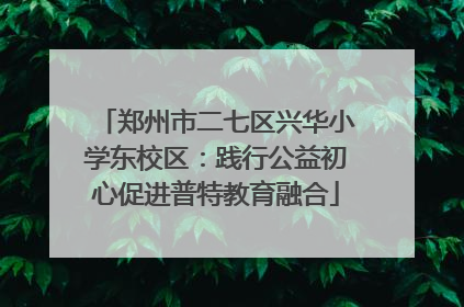 郑州市二七区兴华小学东校区：践行公益初心促进普特教育融合