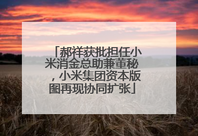 郝祥获批担任小米消金总助兼董秘，小米集团资本版图再现协同扩张