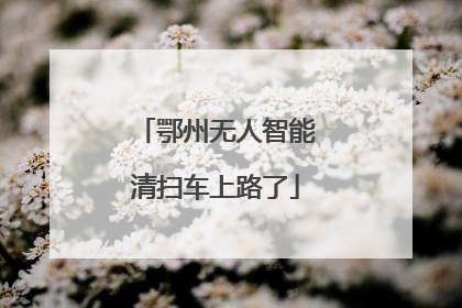 鄂州无人智能清扫车上路了