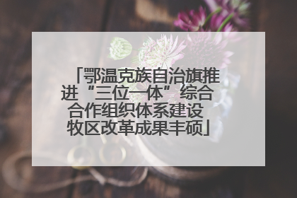 鄂温克族自治旗推进“三位一体”综合合作组织体系建设 牧区改革成果丰硕