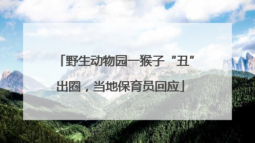野生动物园一猴子“丑”出圈，当地保育员回应